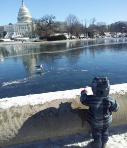My wise nephew looking out at the Capitol Building.